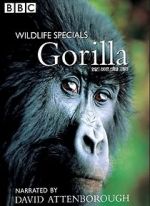 Watch Gorilla Revisited with David Attenborough 123moviesFree