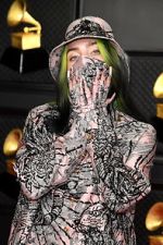 Watch The 63rd Annual Grammy Awards 123moviesFree