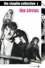 Watch The Circus 123moviesFree