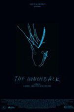 Watch The Hunchback 123moviesFree