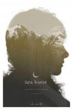 Watch Sea Horse 123moviesFree