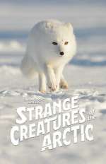 Watch Strange Creatures of the Arctic (TV Special 2022) 123moviesFree