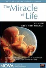 Watch The Miracle of Life 123moviesFree