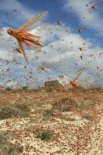 Watch Swarm Chasers: Locusts 123moviesFree