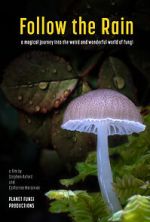 Watch Follow the Rain 123moviesFree