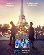 Watch Nothing Like Paris 123moviesFree