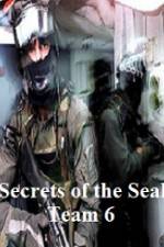 Watch Discovery Channel Secrets of Seal Team 6 123moviesFree