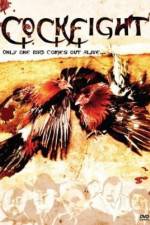 Watch The Round and Round 123moviesFree