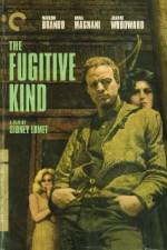 Watch The Fugitive Kind 123moviesFree