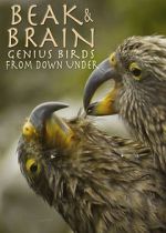 Watch Beak & Brain - Genius Birds from Down Under 123moviesFree