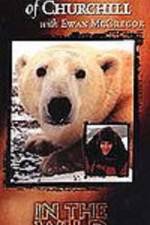 Watch The Polar Bears of Churchill with Ewan McGregor 123moviesFree