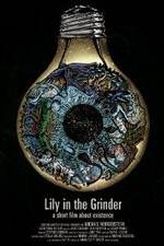 Watch Lily in the Grinder 123moviesFree