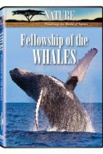 Watch Fellowship Of The Whales 123moviesFree