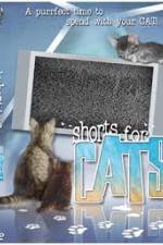 Watch Shorts for Cats 123moviesFree