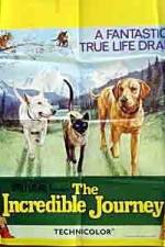 Watch The Incredible Journey 123moviesFree