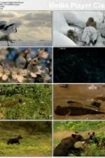 Watch National Geographic: Japans Hidden Secrets 123moviesFree