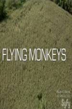 Watch Winged Terror 123moviesFree