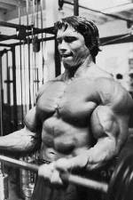 Watch The Comeback 123moviesFree