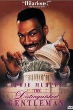 Watch The Distinguished Gentleman 123moviesFree