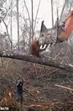 Watch Climate Change: The Facts 123moviesFree