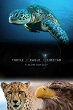 Watch Turtle, Eagle, Cheetah: A Slow Odyssey 123moviesFree