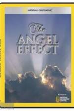 Watch National Geographic Explorer - The Angel Effect 123moviesFree