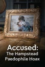 Watch Accused: The Hampstead Paedophile Hoax 123moviesFree