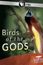Watch Birds Of The Gods 123moviesFree