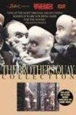 Watch The Comb 123moviesFree