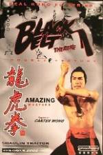 Watch Shao Lin ban pan tu 123moviesFree