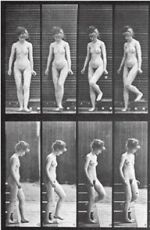 Watch Woman Walking Downstairs 123moviesFree