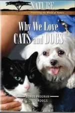 Watch Why We Love Cats And Dogs 123moviesFree