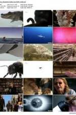 Watch History Channel Evolve: Sex 123moviesFree