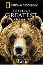 Watch America's Greatest Animals 123moviesFree