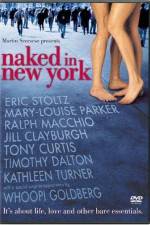 Watch Naked in New York 123moviesFree