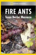 Watch National Geographic Fire Ants: Texas Border Massacre 123moviesFree