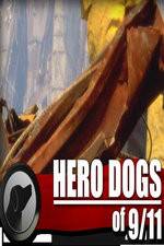 Watch Hero Dogs of 911 Documentary Special 123moviesFree