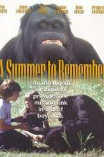Watch A Summer to Remember 123moviesFree