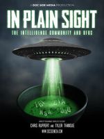 Watch In Plain Sight: The Intelligence Community and UFOs 123moviesFree