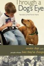 Watch Through a Dog's Eyes 123moviesFree