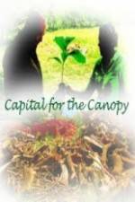 Watch Capital for the Canopy 123moviesFree