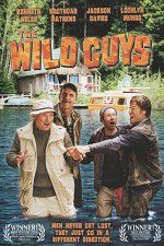 Watch The Wild Guys 123moviesFree