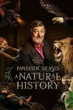 Watch Fantastic Beasts: A Natural History 123moviesFree