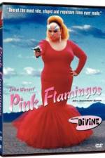 Watch Pink Flamingos 123moviesFree