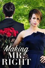 Watch Making Mr. Right 123moviesFree