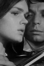 Watch Pavoncello 123moviesFree