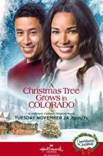 Watch A Christmas Tree Grows in Colorado 123moviesFree