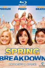 Watch Spring Breakdown 123moviesFree