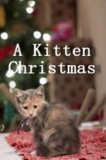 Watch A Kitten Christmas 123moviesFree