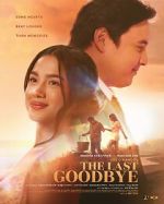 Watch The Last Goodbye 123moviesFree